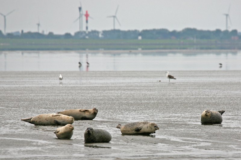 Duhnen_Cuxhaven_46.jpg