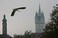 Straubing_005